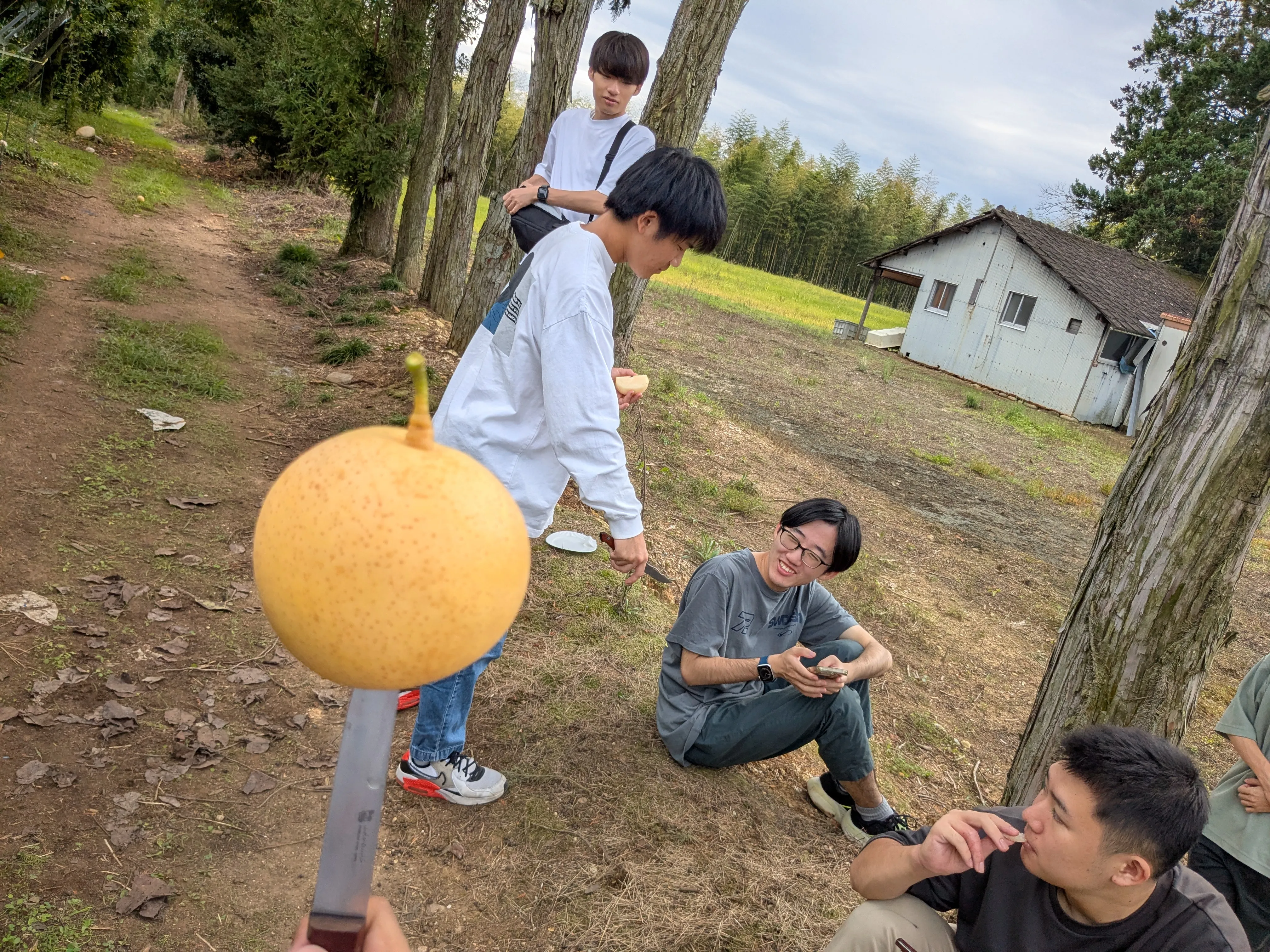 PXL_20261005_034850781.jpg (5.0 MB)